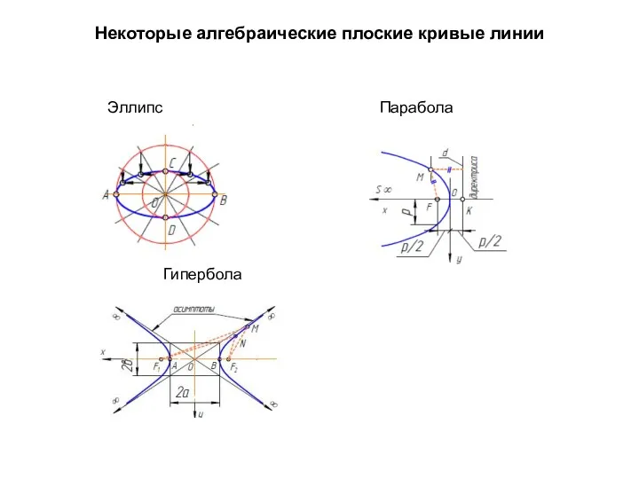 Некоторые алгебраические плоские кривые линии Эллипс Парабола Гипербола