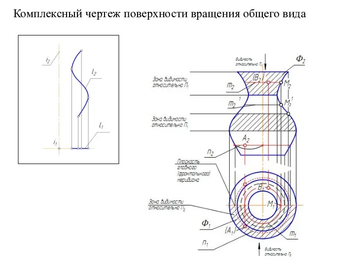 Комплексный чертеж поверхности вращения общего вида