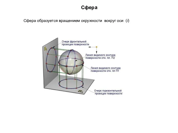 Сфера Сфера образуется вращением окружности вокруг оси (i)
