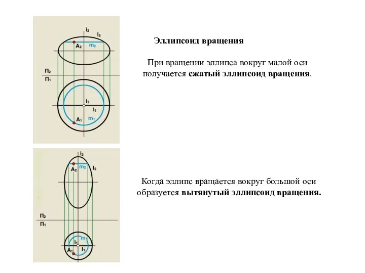 Эллипсоид вращения При вращении эллипса вокруг малой оси получается сжатый эллипсоид