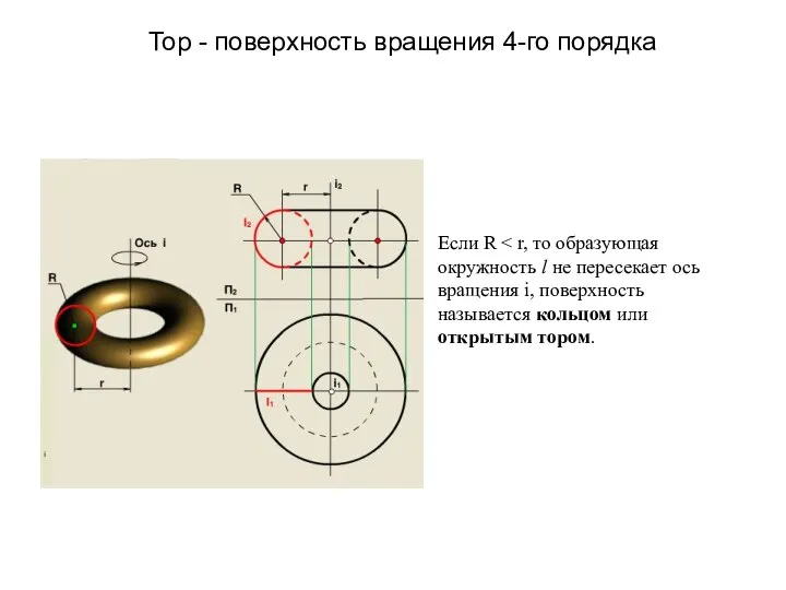 Тор - поверхность вращения 4-го порядка Если R