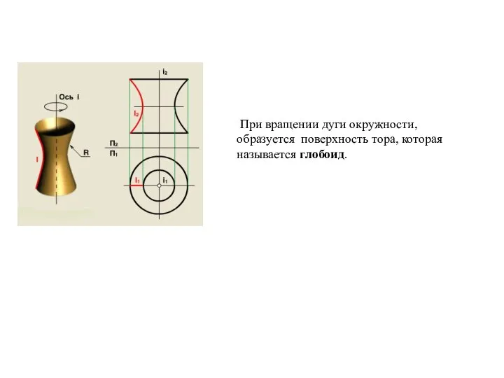 При вращении дуги окружности, образуется поверхность тора, которая называется глобоид.