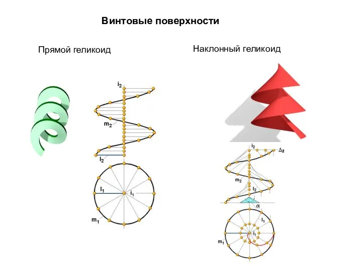 Винтовые поверхности Прямой геликоид Наклонный геликоид