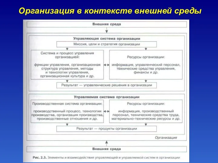 Организация в контексте внешней среды