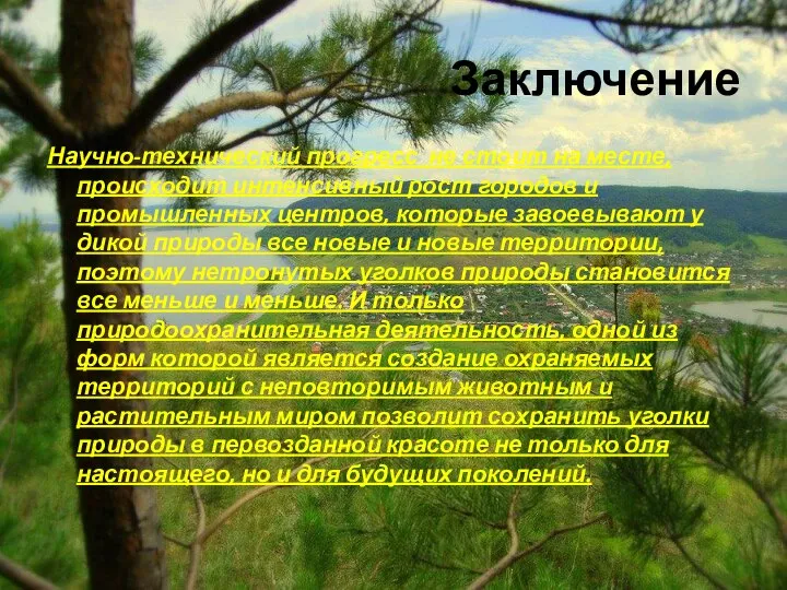 Заключение Научно-технический прогресс не стоит на месте, происходит интенсивный рост городов