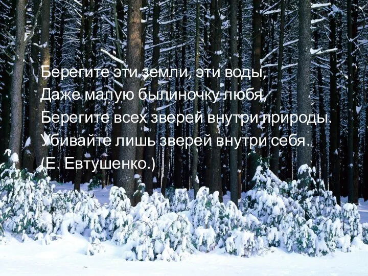 Берегите эти земли, эти воды, Даже малую былиночку любя, Берегите всех