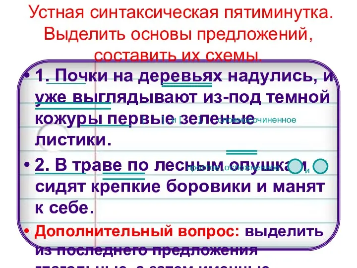 Устная синтаксическая пятиминутка. Выделить основы предложений, составить их схемы. 1. Почки