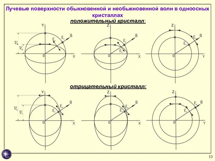 Лучевые поверхности обыкновенной и необыкновенной волн в одноосных кристаллах положительный кристалл: отрицательный кристалл: