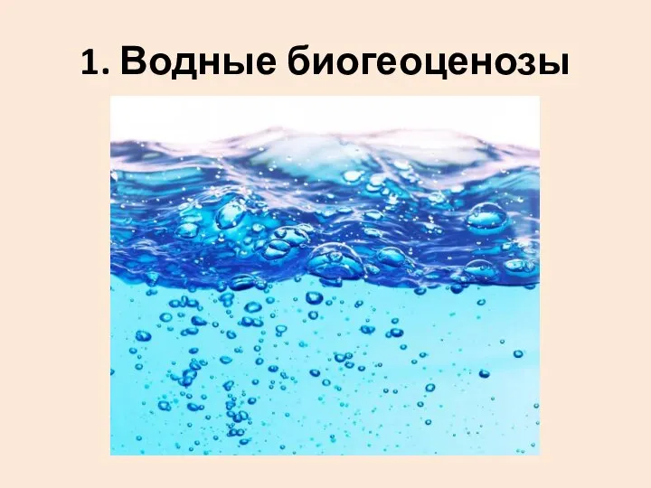 1. Водные биогеоценозы