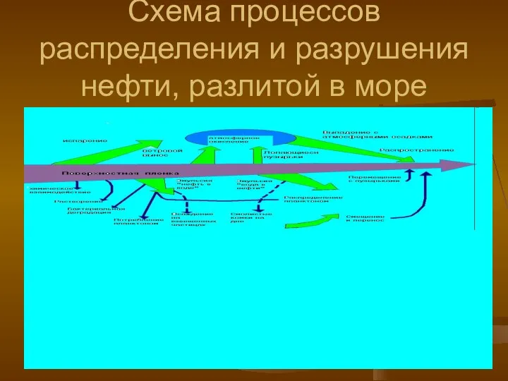 Схема процессов распределения и разрушения нефти, разлитой в море