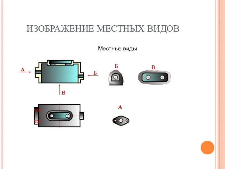 ИЗОБРАЖЕНИЕ МЕСТНЫХ ВИДОВ Местные виды А А Б Б В В