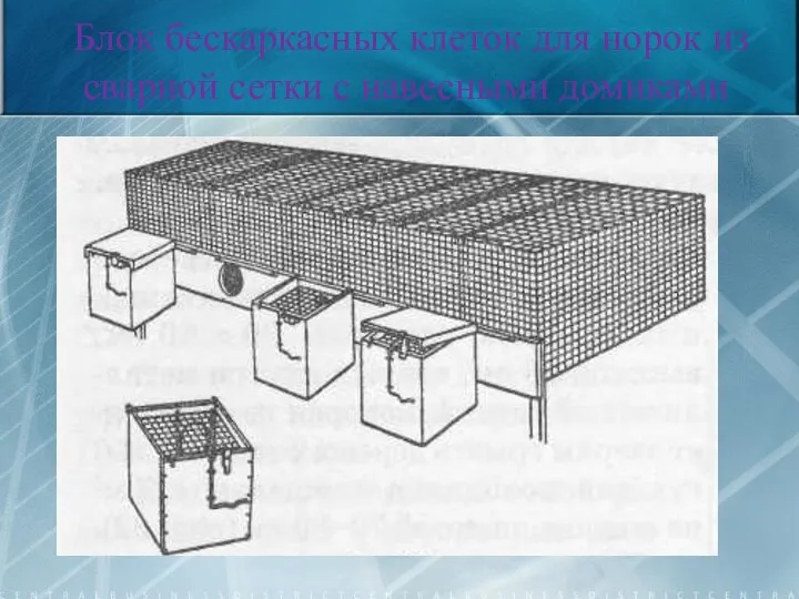 Блок бескаркасных клеток для норок из сварной сетки с навесными домиками