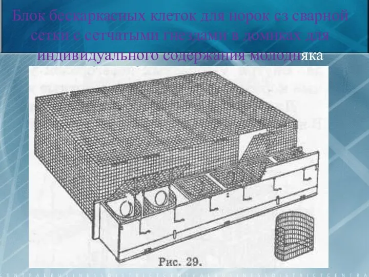 Блок бескаркасных клеток для норок сз сварной сетки с сетчатыми гнездами