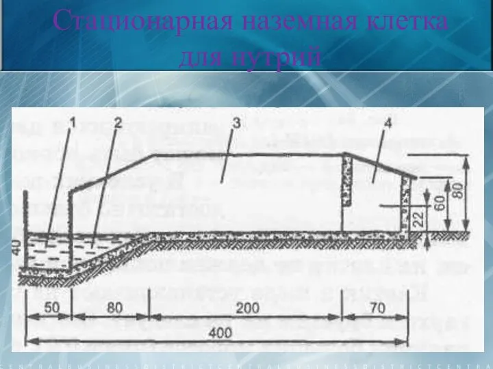 Стационарная наземная клетка для нутрий