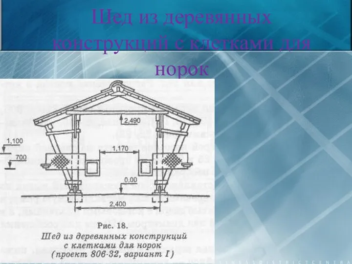 Шед из деревянных конструкций с клетками для норок