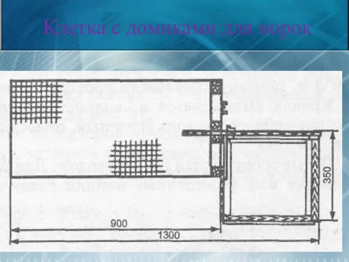 Клетка с домиками для норок