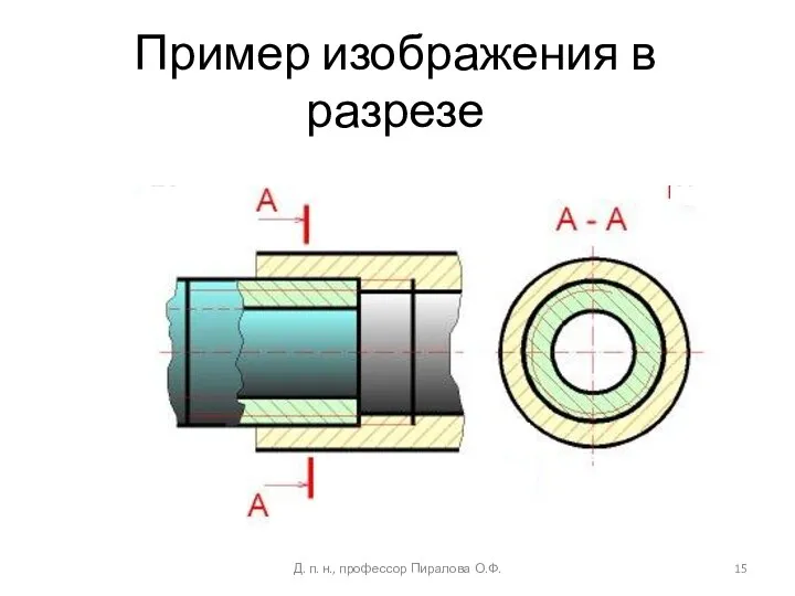 Пример изображения в разрезе Д. п. н., профессор Пиралова О.Ф.