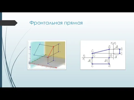 Фронтальная прямая