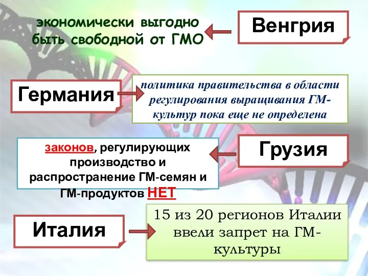 Венгрия Германия Грузия Италия экономически выгодно быть свободной от ГМО политика