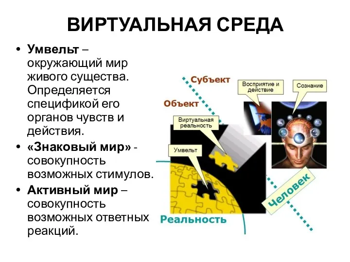 ВИРТУАЛЬНАЯ СРЕДА Умвельт – окружающий мир живого существа. Определяется спецификой его