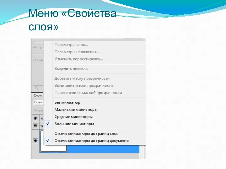 Меню «Свойства слоя»