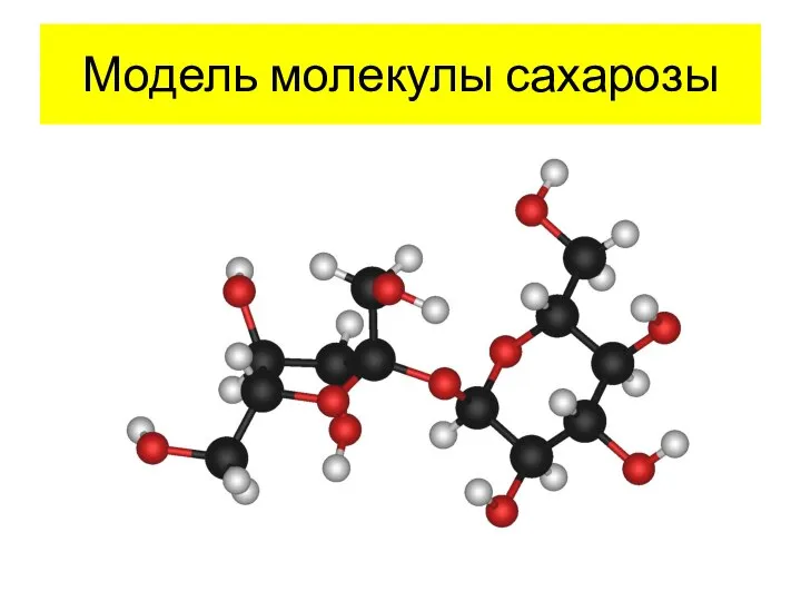 Модель молекулы сахарозы