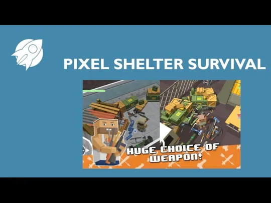 PIXEL SHELTER SURVIVAL