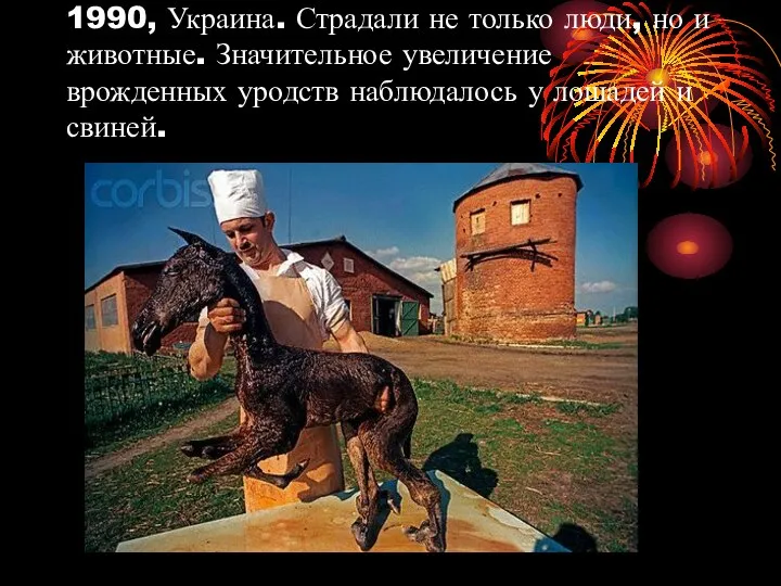 1990, Украина. Страдали не только люди, но и животные. Значительное увеличение