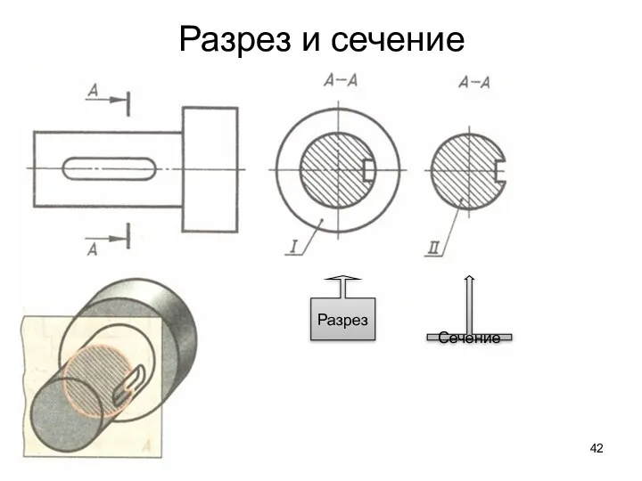 Разрез и сечение Разрез Сечение