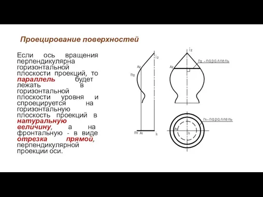 Проецирование поверхностей Если ось вращения перпендикулярна горизонтальной плоскости проекций, то параллель