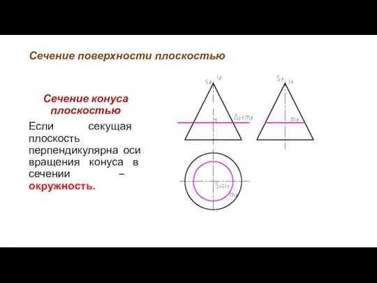 Сечение поверхности плоскостью Сечение конуса плоскостью Если секущая плоскость перпендикулярна оси