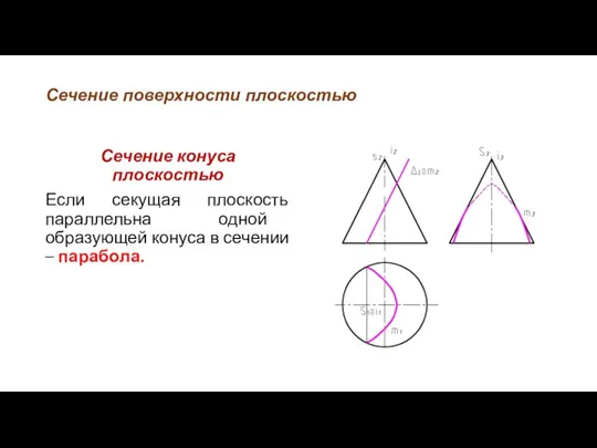 Сечение поверхности плоскостью Сечение конуса плоскостью Если секущая плоскость параллельна одной