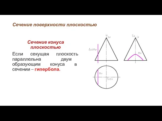 Сечение поверхности плоскостью Сечение конуса плоскостью Если секущая плоскость параллельна двум