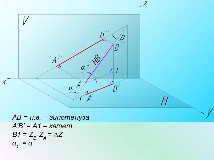 АВ = н.в. – гипотенуза А'В' = А1 – катет В1