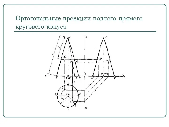 Ортогональные проекции полного прямого кругового конуса