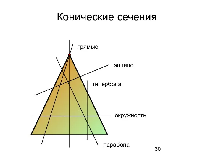 Конические сечения прямые эллипс гипербола окружность парабола