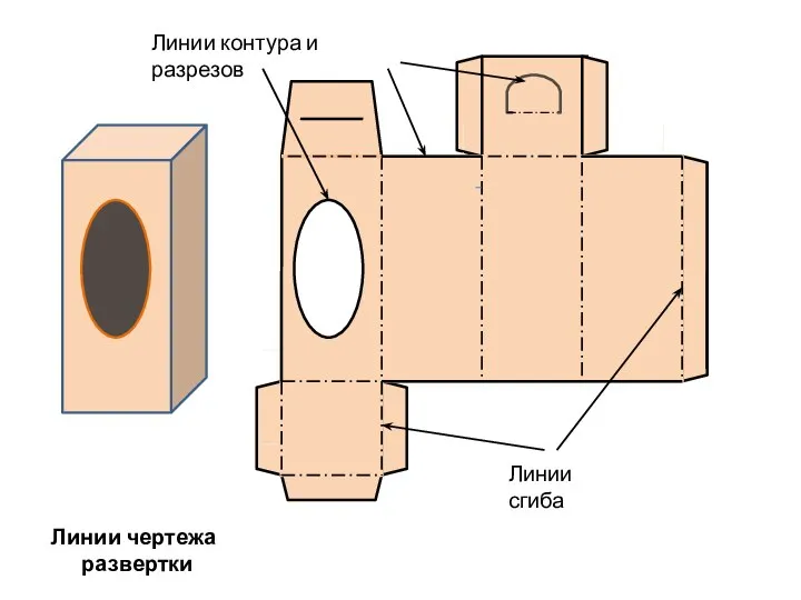 Линии чертежа развертки Линии сгиба Линии контура и разрезов