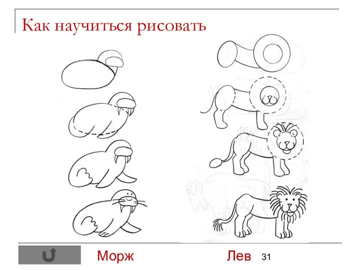 Как научиться рисовать Морж Лев