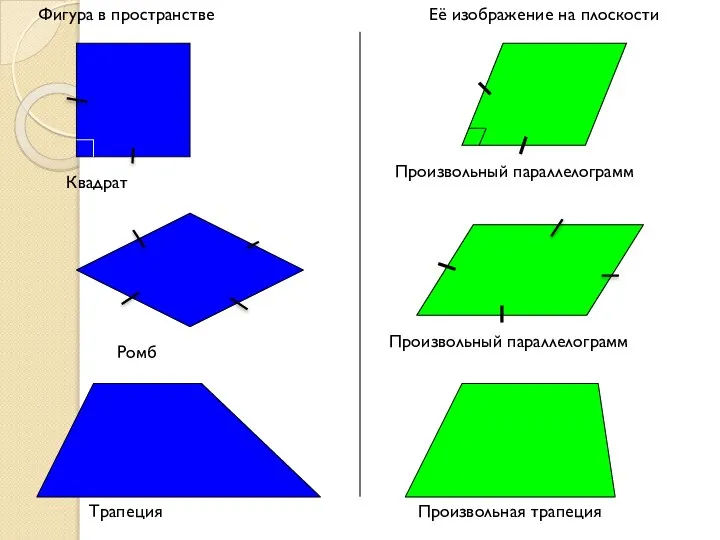 Фигура в пространстве Её изображение на плоскости Квадрат Произвольный параллелограмм Трапеция Произвольная трапеция Произвольный параллелограмм Ромб