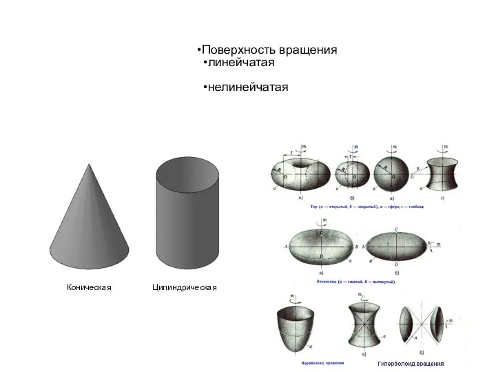 Поверхность вращения линейчатая нелинейчатая Коническая Цилиндрическая