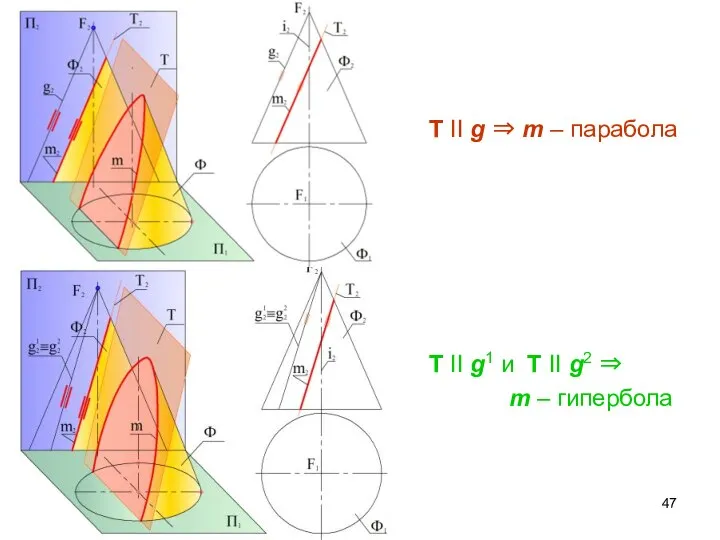 T II g ⇒ m – парабола T II g1 и