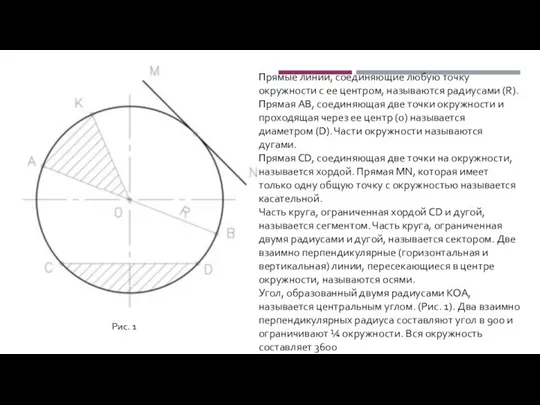 Прямые линии, соединяющие любую точку окружности с ее центром, называются радиусами