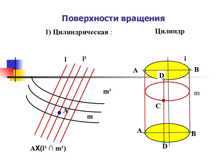 Поверхности вращения 1) Цилиндрическая : l m A l² m² ΑX(l²