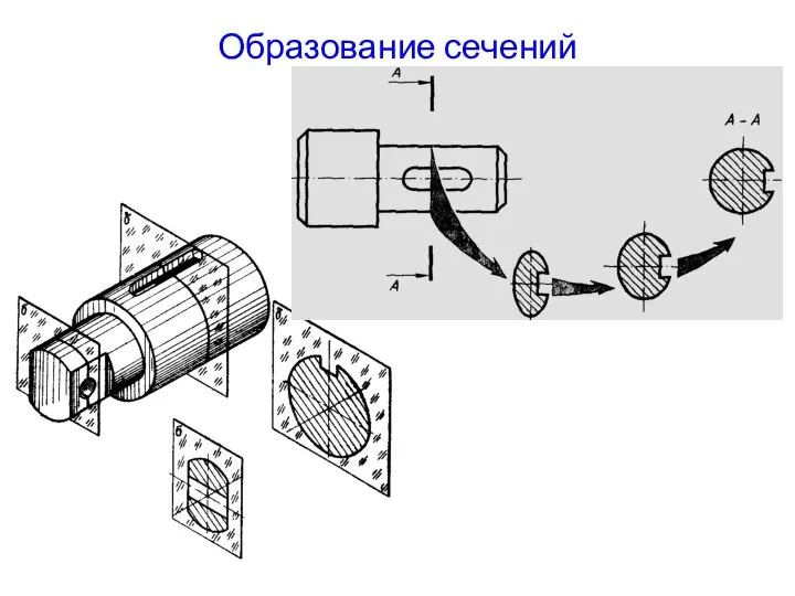 Образование сечений