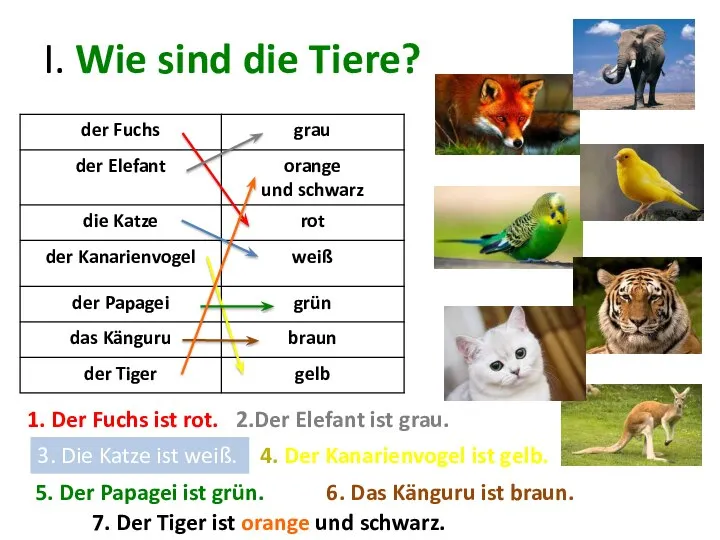 I. Wie sind die Tiere? 1. Der Fuchs ist rot. 2.Der