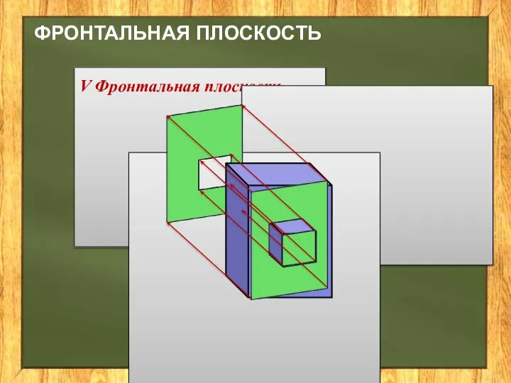 ФРОНТАЛЬНАЯ ПЛОСКОСТЬ