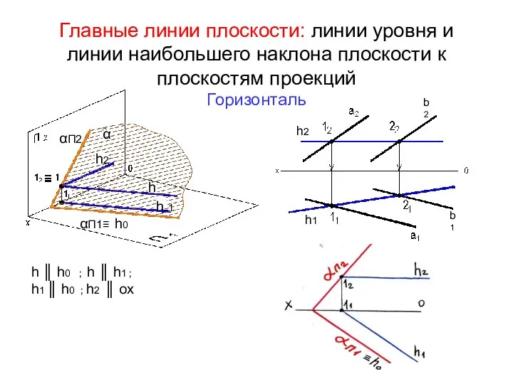 Главные линии плоскости: линии уровня и линии наибольшего наклона плоскости к