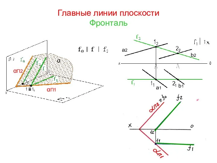 Главные линии плоскости Фронталь a2 b2 a1 b1 α αП2 αП1