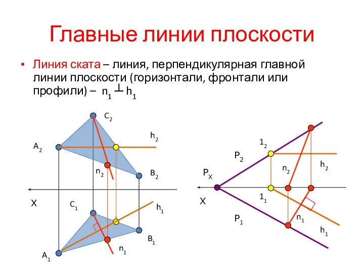 Главные линии плоскости Линия ската – линия, перпендикулярная главной линии плоскости