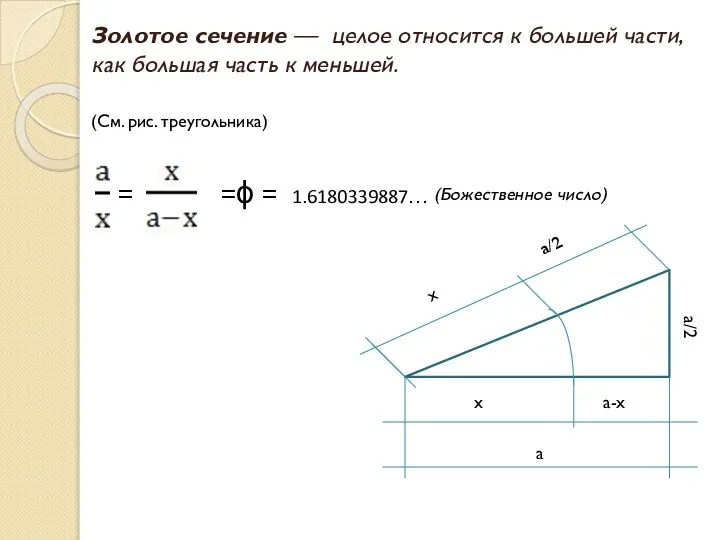 а х а-х х а/2 а/2 Золотое сечение — целое относится